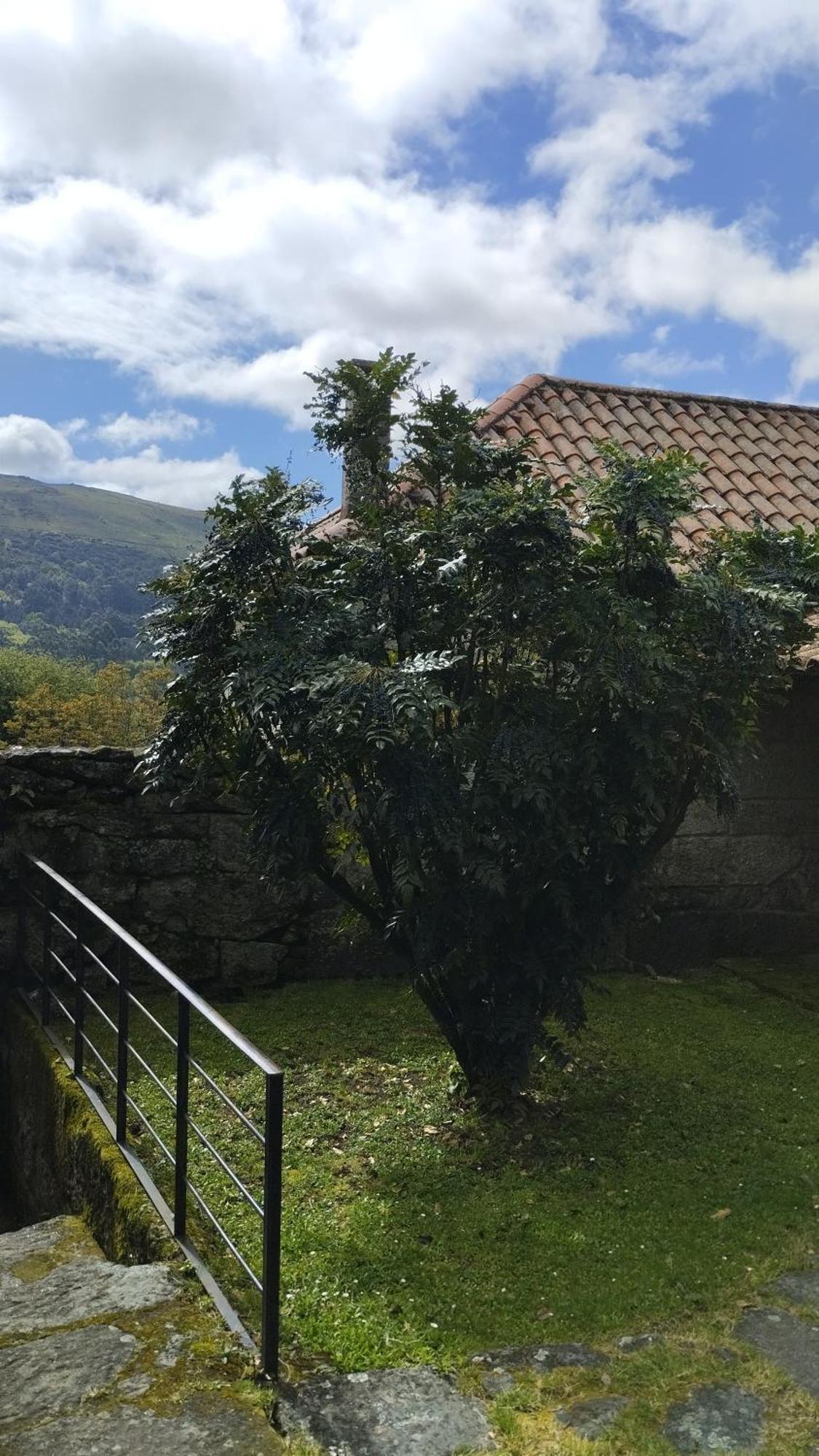 Maison d'hôtes Rectoral De Prado à Pineiro  Extérieur photo